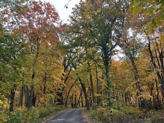 Cozy Staff Picks & Pairings for Fall